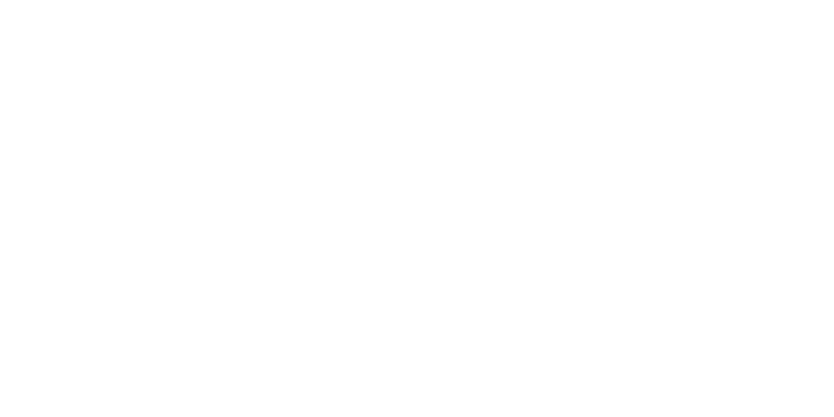 Cyber Crew Logo